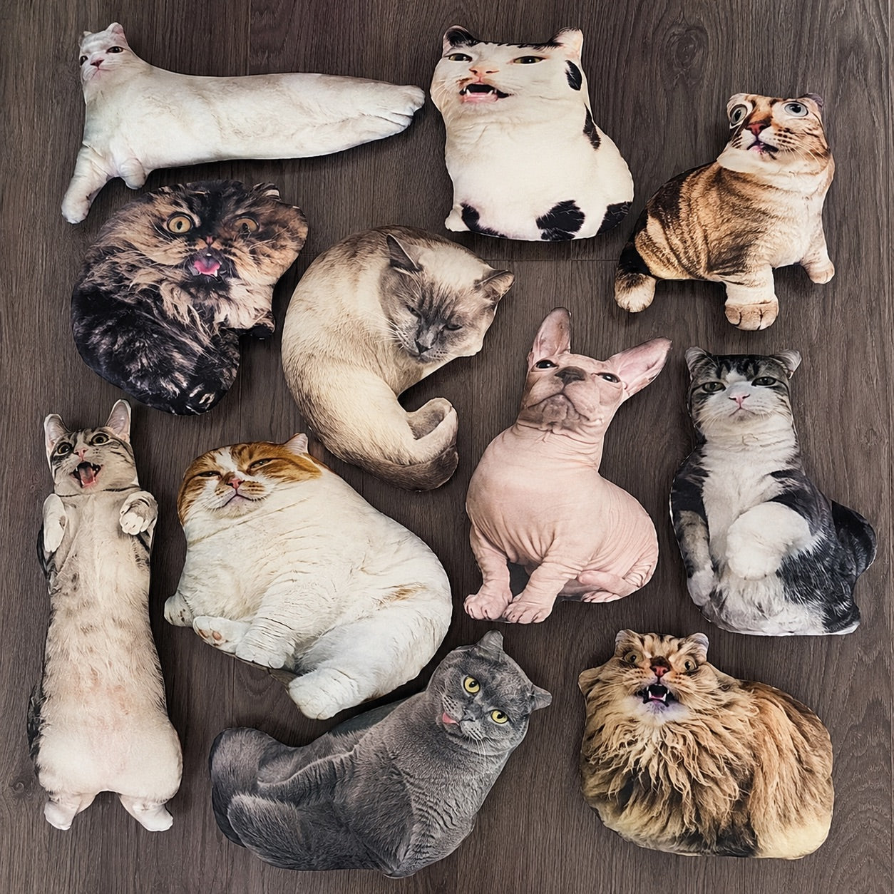 Custom Ugly Cat Pillow